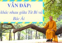 Vấn đáp: So sánh ý nghĩa “từ bi – bác ái” – Thích Nhật Từ van dap so sanh y nghia tu bi ba