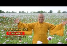 Vấn đáp: Soi gương nhân cách – Thích Nhật Từ van dap soi guong nhan cach thic
