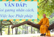 Vấn đáp: Soi gương nhân cách, việc học Phật pháp – Thích Nhật Từ van dap soi guong nhan cach viec