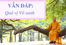 Vấn đáp: Sự giác ngộ của Phật, Ala-hán – Thích Nhật Từ van dap su giac ngo cua phat ala