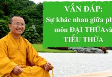 Vấn đáp: Sự khác nhau giữa pháp môn Đại thừa và Tiểu thừa – Thích Nhật Từ van dap su khac nhau giua phap m