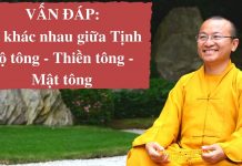 Vấn đáp: Sự khác nhau giữa Tịnh độ tông, Thiền tông, Mật tông – Thích Nhật Từ van dap su khac nhau giua tinh d