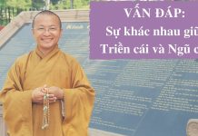 Vấn đáp: Sự khác nhau giữa Triền cái và Ngũ cái – Thích Nhật Từ van dap su khac nhau giua trien
