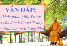 Vấn đáp: Sự khác nhau giữa Trung đạo của đức Phật và Trung quán đạo của ngài Long Thọ – Thích Nhật Từ van dap su khac nhau giua trung