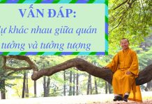 Vấn đáp: Sự khác nhau quán tưởng, tưởng tượng – Thích Nhật Từ van dap su khac nhau quan tuong