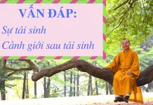 Vấn đáp: Sự tái sinh, cảnh giới sau tái sinh – Thích Nhật Từ van dap su tai sinh canh gioi sa