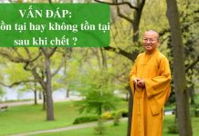 Vấn đáp: Sự tồn tại hay không tồn tại sau khi chết – Thích Nhật Từ van dap su ton tai hay khong ton