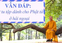 Vấn đáp: Sự tu tập dành cho Phật tử ở hải ngoại – Thích Nhật Từ van dap su tu tap danh cho phat