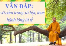 Vấn đáp: Sự vô cảm trong xã hội, thực hành lòng tử tế – Thích Nhật Từ van dap su vo cam trong xa hoi t