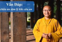 Vấn đáp: Tác dụng tâm lý người cầu an, cầu siêu – Thích Nhật Từ van dap tac dung tam ly nguoi ca