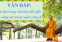 Vấn đáp: Tác hại trong văn hóa đốt giấy tiền vàng mã trong ngày cúng dỗ – Thích Nhật Từ van dap tac hai trong van hoa do