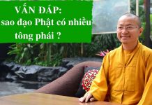 Vấn đáp: Tại sao đạo Phật có nhiều tông phái ? – Thích Nhật Từ van dap tai sao dao phat co nhie