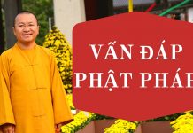 Vấn đáp: Tái sinh, cúng thất – Thích Nhật Từ van dap tai sinh cung that thich