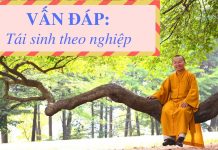 Vấn đáp: Tái sinh theo nghiệp – Thích Nhật Từ van dap tai sinh theo nghiep thi