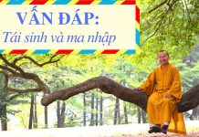 Vấn đáp: Tái sinh và ma nhập – Thích Nhật Từ van dap tai sinh va ma nhap thic