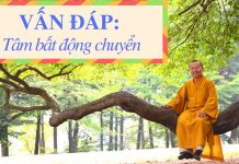 Vấn đáp: Tâm bất động chuyển – Thích Nhật Từ van dap tam bat dong chuyen thic 1