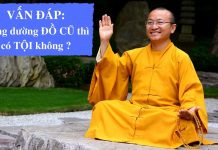 Vấn đáp: Tâm cúng dường – Thích Nhật Từ van dap tam cung duong thich nha