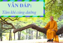 Vấn đáp: Tâm khi cúng dường – Thích Nhật Từ van dap tam khi cung duong thich