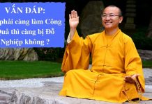 Vấn đáp: Tâm làm công quả, Đỗ nghiệp – Thích Nhật Từ van dap tam lam cong qua do nghi