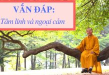 Vấn đáp: Tâm linh và ngoại cảm – Thích Nhật Từ van dap tam linh va ngoai cam th