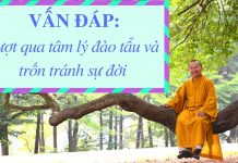 Vấn đáp: Tâm lý đào tẩu, trốn tránh – Thích Nhật Từ van dap tam ly dao tau tron tran