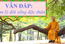 Vấn đáp: Tâm lý đời sống độc thân – Thích Nhật Từ van dap tam ly doi song doc than