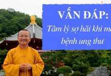 Vấn đáp: Tâm lý sợ hãi khi mắc bệnh ung thư – Thích Nhật Từ van dap tam ly so hai khi mac be