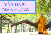 Vấn đáp: Tám ngọn gió đời – Thích Nhật Từ van dap tam ngon gio doi thich n