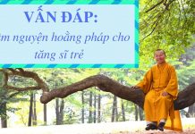 Vấn đáp: Tâm nguyện hoằng pháp cho tăng sĩ trẻ – Thích Nhật Từ van dap tam nguyen hoang phap ch