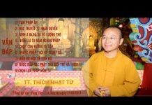 Vấn Đáp: Tam Pháp Ấn- Học Thuyết 12 Nhân Duyên – Thích Nhật Từ van dap tam phap an hoc thuyet 1
