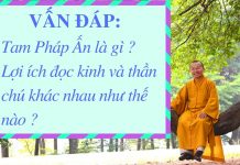 Vấn đáp: Tam Pháp Ấn, lợi ích đọc kinh- thần chú – Thích Nhật Từ van dap tam phap an loi ich doc