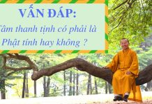 Vấn đáp: Tâm thanh tịnh có phải là Phật tính hay không? – Thích Nhật Từ van dap tam thanh tinh co phai l