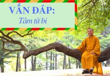 Vấn đáp: Tâm từ bi – Thích Nhật Từ van dap tam tu bi thich nhat tu