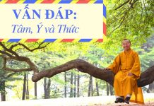 Vân đáp: Tâm, Ý và Thức – Thích Nhật Từ van dap tam y va thuc thich nhat