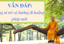 Vấn đáp: Tăng ni trẻ và hướng đi hoằng pháp mới – Thích Nhật Từ van dap tang ni tre va huong di
