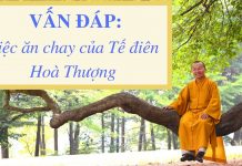 Vấn đáp: Tế điên Hoà Thượng và ăn chay – Thích Nhật Từ van dap te dien hoa thuong va an