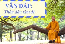 Vấn đáp: Thân đâu tâm đó – Thích Nhật Từ van dap than dau tam do thich nh