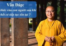 Vấn đáp: Thân trung ấm, Tâm thức sau khi chết – Thích Nhật Từ van dap than trung am tam thuc s