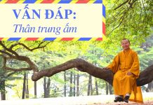 Vấn đáp: Thân trung ấm – Thích Nhật Từ van dap than trung am thich nhat