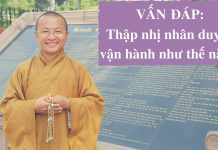 Vấn đáp: Thập nhị nhân duyên vận hành như thế nào ? – Thích Nhật Từ van dap thap nhi nhan duyen van