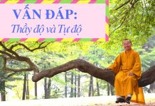 Vấn đáp: Thầy độ và Tự độ – Thích Nhật Từ van dap thay do va tu do thich n