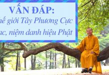 Vấn đáp: Thế giới Tây Phương Cực Lạc, niệm danh hiệu Phật – Thích Nhật Từ van dap the gioi tay phuong cuc 1