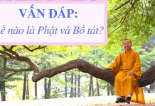 Vấn đáp: Thế nào là Phật, Bồ-tát – Thích Nhật Từ van dap the nao la phat bo tat t