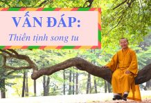 Vấn đáp: Thiền tịnh song tu – Thích Nhật Từ van dap thien tinh song tu thich