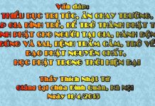 Vấn đáp: Thiểu dục tri túc, ăn chay trường, lập gia đình trễ, để trở thành Phật tử,… van dap thieu duc tri tuc an cha