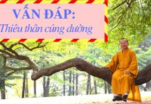 Vấn đáp: Thiêu thân cúng dường – Thích Nhật Từ van dap thieu than cung duong th