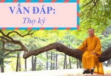 Vấn đáp: Thọ ký – Thích Nhật Từ van dap tho ky thich nhat tu