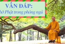 Vấn đáp: Thờ Phật trong phòng ngủ – Thích Nhật Từ van dap tho phat trong phong ngu