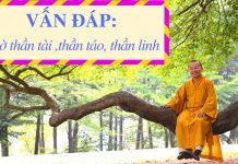 Vấn đáp: Thờ thần tài, thần táo, thần linh – Thích Nhật Từ van dap tho than tai than tao th