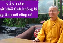 Vấn đáp: Thoát khỏi tình huống bị gạ tình nơi công sở – Thích Nhật Từ van dap thoat khoi tinh huong bi